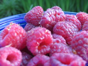 raspberries (5)